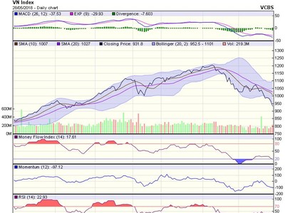 Biểu đồ kỹ thuật VN-Index. Nguồn: VCBS.