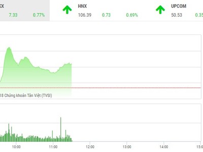 Phiên sáng 3/8: Nhà đầu tư mạnh dạn xuống tiền, VN-Index chinh phục mốc 960 điểm