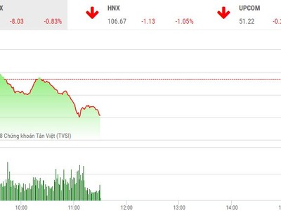 Phiên sáng 10/8: Lực bán gia tăng, thị trường chìm trong sắc đỏ