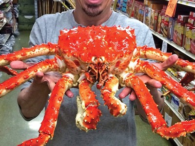 Chân cua hoàng đế dài hơn nửa mét giá vài triệu đồng một bộ