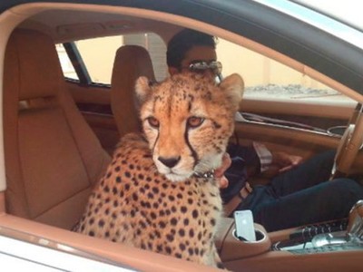 Những điều kỳ lạ về UAE - quốc gia giàu thứ 9 trên thế giới