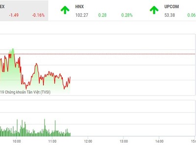 Phiên sáng 17/1: Cổ phiếu nhỏ hút dòng tiền
