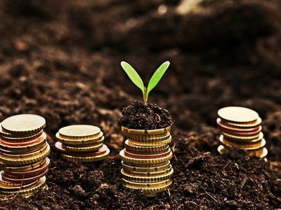 Giá vàng hôm nay ngày 28/2: Trong nước giảm 50.000 đồng/lượng