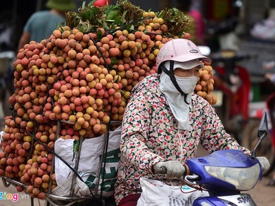 Nhiều tiểu thương khẳng định loại vải họ bán là "vải thiều Lục Ngạn, Thanh Hà". Ảnh minh họa.