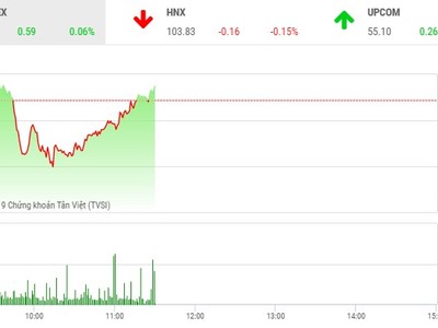 Phiên sáng 11/6: Dòng tiền chuyển hướng