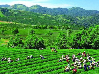 GTNFoods (GTN) biến động nhân sự trước ngày Đại hội đồng cổ đông