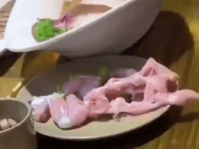 Thực khách Mỹ la hét khi thấy miếng thịt gà tự 'bò' khỏi đĩa