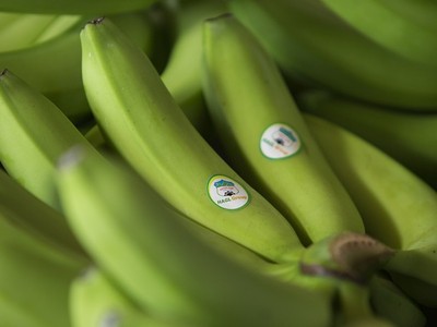 Thaco “quyết tâm” mua 5 triệu cổ phiếu HNG