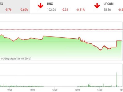 Phiên chiều 10/12: Rơi điểm vì một nguyên nhân nào đó... chưa bộc lộ