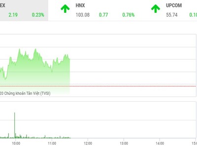 Phiên sáng 14/1: Ồ ạt bắt đáy ROS
