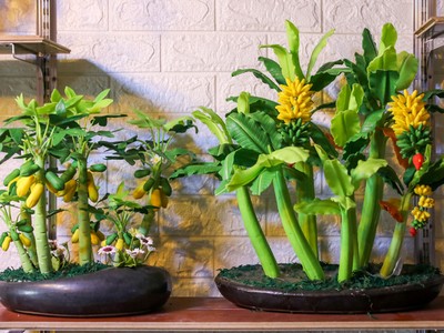 Cây kiểng làm từ đất sét hút khách dịp Tết