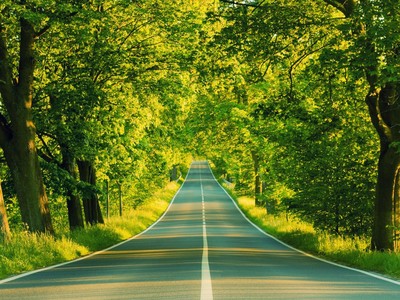 Thị trường tài chính 24h: Chứng khoán trong nước trái chiều với khu vực