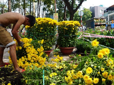 Người bán đập nát hoa ế