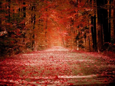 Thị trường tài chính 24h: Giá vàng tăng phi mã