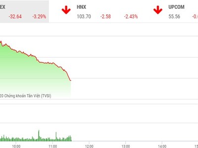 Phiên sáng 30/1: Nhà đầu tư tháo chạy, VN-Index 'bay' hơn 32 điểm