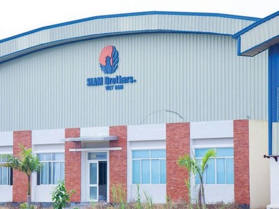 Siam Brothers Việt Nam (SBV): Lợi nhuận năm 2019 tăng 6% nhờ đột biến trong quý IV
