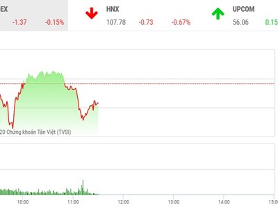 Phiên sáng 13/2: Dòng tiền hướng đến nhóm cổ phiếu nhỏ, VN-Index điều chỉnh
