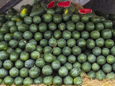 Sacombank mua dưa hấu hỗ trợ bà con nông dân