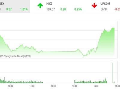 Phiêu chiều 20/2: VIC bùng nổ, VN-Index tăng hơn 9 điểm trong phiên đáo hạn phái sinh