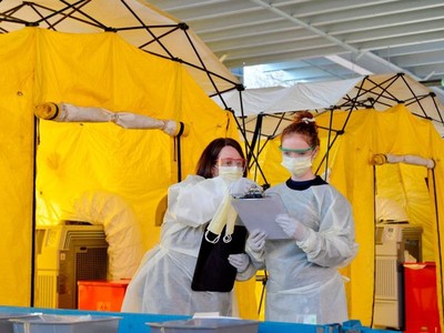 Nhân viên y tế làm xét nghiệm Covid-19 cho bệnh nhân tại Bệnh viện Newton-Wellesley, Mỹ. Ảnh: AFP.