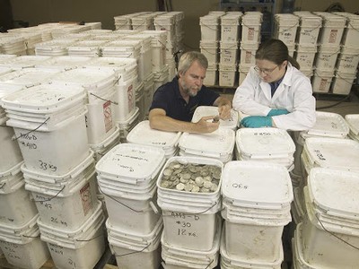 Số đồng xu được tìm thấy từ vụ đắm tàu năm 2007. Ảnh: Odyssey Marine Exploration.