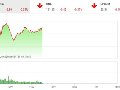 Giao dịch chứng khoán sáng 14/5: TTF tiếp tục nổi sóng, VN-Index giảm nhẹ