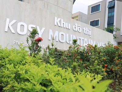 Lợi nhuận quý II của KOSY (KOS) chỉ còn một nửa, chuẩn bị tăng vốn thêm gần 600 tỷ đồng