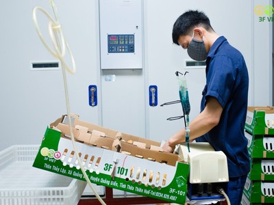 Bên trong nhà máy của Công ty 3F Viet.