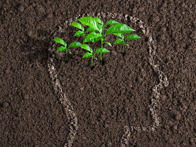 Sự kiện chứng khoán đáng chú ý ngày 15/12