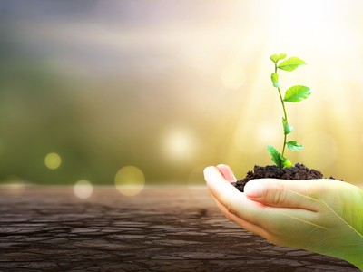 Nhận định thị trường phiên giao dịch chứng khoán ngày 26/1: Giảm tỷ trọng cổ phiếu