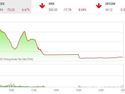 Giao dịch chứng khoán phiên chiều 28/1: Gần 400 mã giảm sàn, VN-Index có ngày giảm kỷ lục