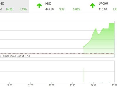 Giao dịch chứng khoán phiên chiều 23/11: Cổ phiếu chứng khoán thăng hoa