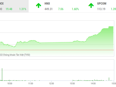 Giao dịch chứng khoán phiên chiều 3/3: HPG cập bến 50, VN-Index thăng hoa