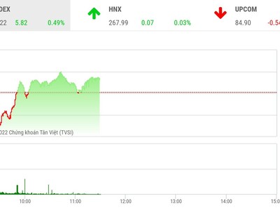 Giao dịch chứng khoán phiên sáng 21/6: Nhóm công ty chứng khoán phục hồi, cặp đôi HAG-HNG khởi sắc