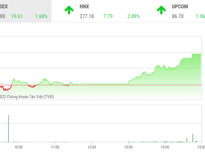 Giao dịch chứng khoán phiên chiều 23/6: Nhiều cổ phiếu khoe sắc tím, VN-Index tăng gần 20 điểm