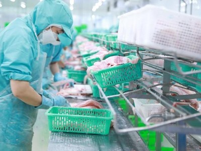 IDI kỳ vọng lợi nhuận năm 2024 tăng tốc.