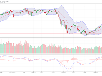 LAI: Ngày GDKHQ trả cổ tức năm 2021 bằng tiền (18%)