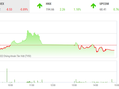 Giao dịch chứng khoán phiên chiều 22/11: Lực cầu bắt đáy mạnh chưa đủ để giải cứu NVL và PDR