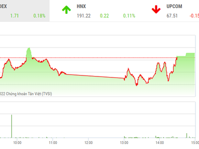 Giao dịch chứng khoán phiên chiều 24/11: Thị trường phân hóa, nhóm thép gây ấn tượng