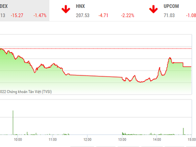 Giao dịch chứng khoán phiên chiều 20/12: Bluechip "nhảy múa", VN-Index giảm thêm hơn 15 điểm
