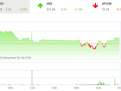 Giao dịch chứng khoán phiên chiều 12/1: Thoát hiểm