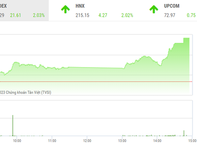 Giao dịch chứng khoán phiên chiều 17/1: Nhiều nhóm ngành bùng nổ, VN-Index tăng hơn 20 điểm