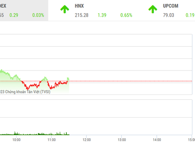 Giao dịch chứng khoán phiên sáng 11/5: Tiền đầu cơ vẫn tìm kiếm cơ hội ở các mã nhỏ