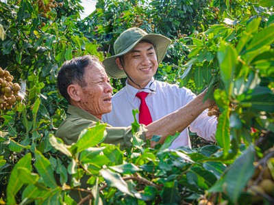 Trên nhiều địa bàn khó khăn, nhân viên ngân hàng vẫn phải trực tiếp “ba cùng” với người vay vốn.