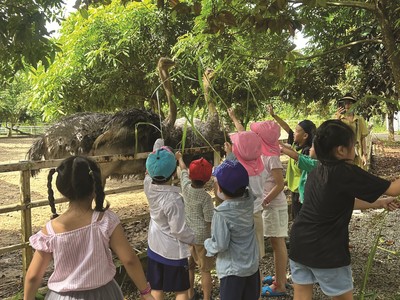 Mô hình farm-school đã nhen nhóm xuất hiện từ hơn chục năm trước.