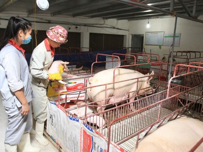 Cổ phiếu nông nghiệp lệch pha