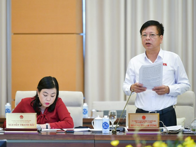 Phó chủ nhiệm Ủy ban Pháp luật Nguyễn Trường Giang phát biểu tại phiên thảo luận.