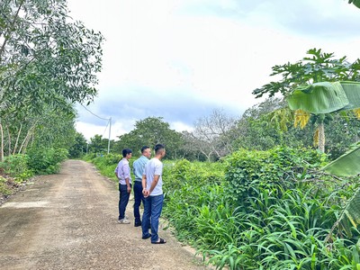 Nhà đầu tư đi săn đất rẫy.