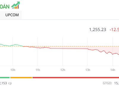 Sắc đỏ lấn át, VN-Index giảm hơn 12 điểm