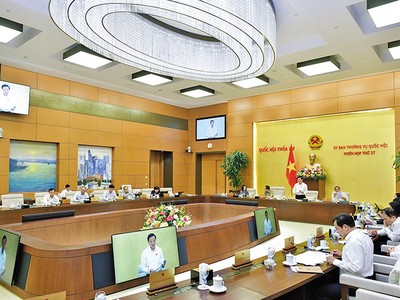 Phiên thảo luận của Ủy ban Thường vụ Quốc hội về Dự thảo Luật Thuế thu nhập doanh nghiệp sửa đổi.